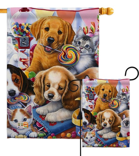 Dolci animali domestici - dolci,