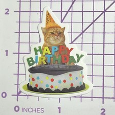 Happy Birthday kitty Cat -