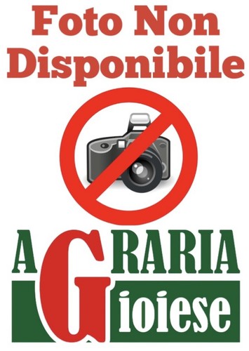 47810 pigna diario scuola - 47810,