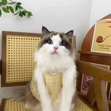 Vestito dolce cane a quadri