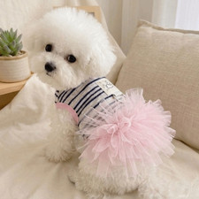 Gonna in pizzo cucciolo